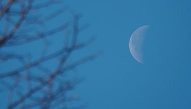 Lua Minguante em Leão — 16 de novembro de 2022: revise suas emoções