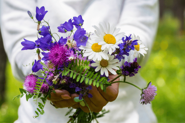 Pessoa com flores coloridas nas mãos, após colheita. 