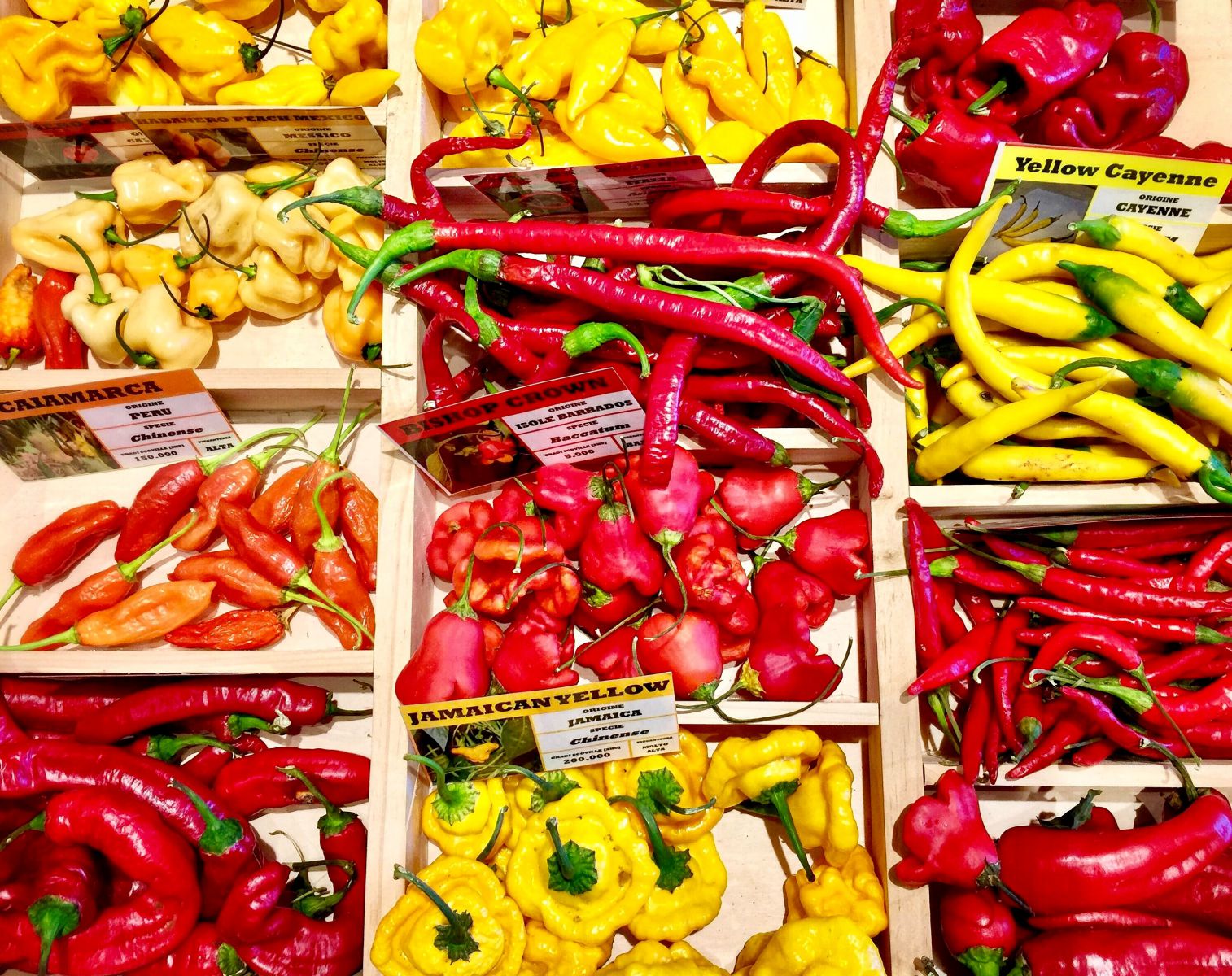 Prateleira de mercado com vários tipos de pimentas
