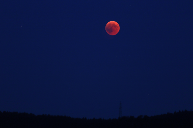 Lua de sangue