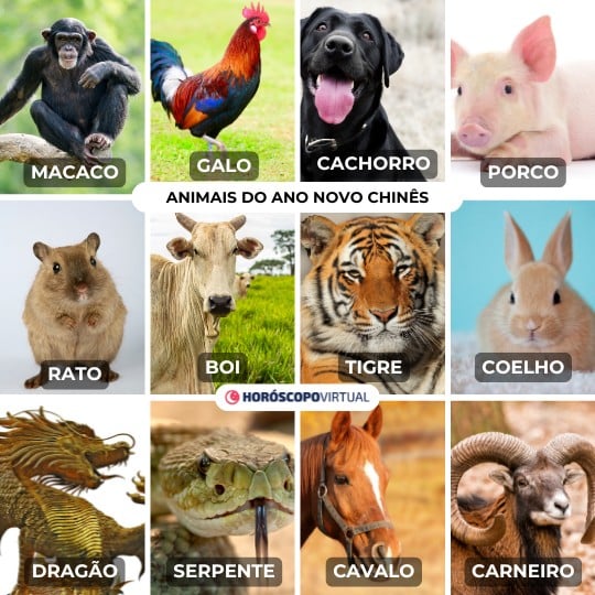 Imagem dos 12 animais correspondentes ao ano novo chinês