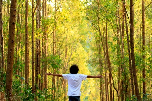 Imagem de uma floresta e ao centro uma pessoa de braços abertos, trazendo o conceito de contato com a natureza.