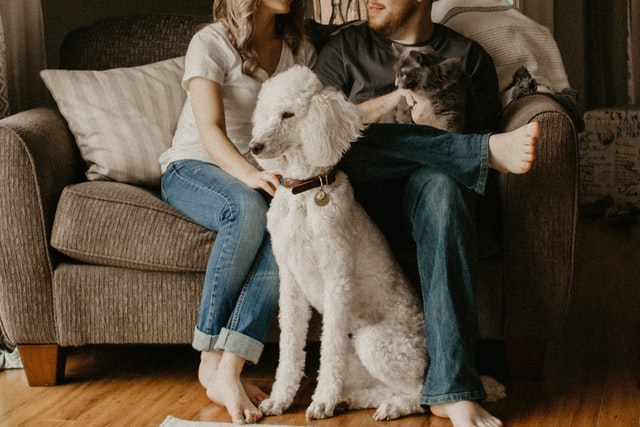 Mulher e homem brancos sentados num sofá com um cachorro branco.