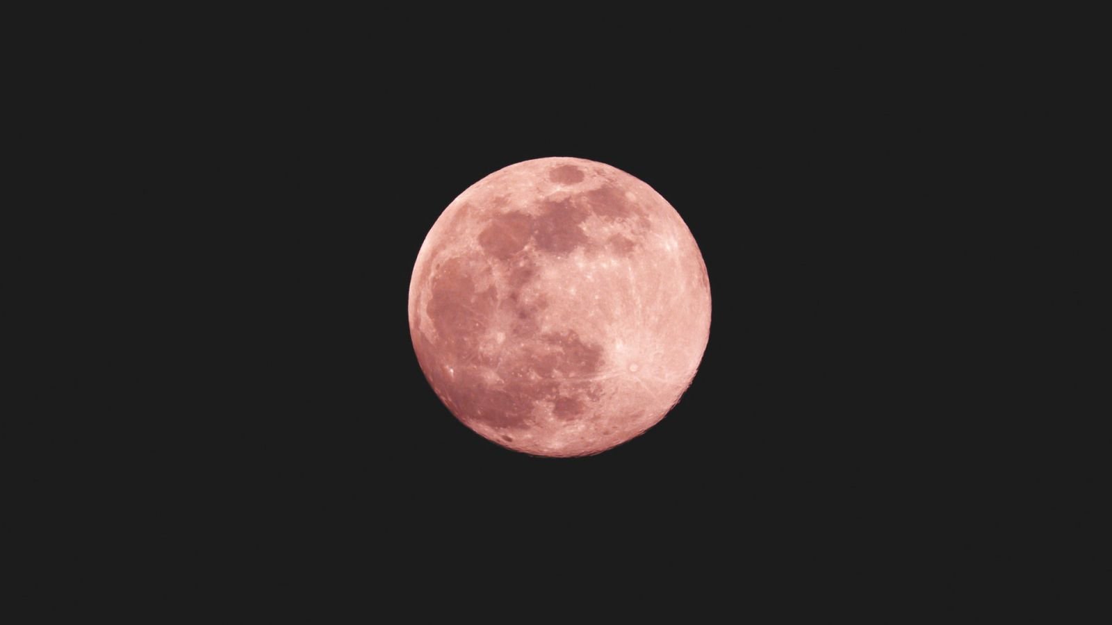 Lua Rosa.